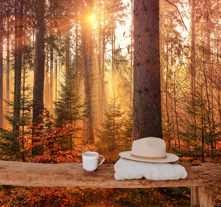 Rød fargerik høstskog fototapet natur - Tenstickers