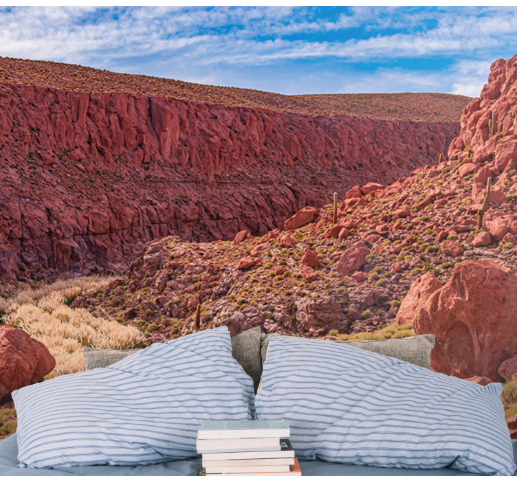 Rødt ørkenlandskap fototapet fjell - Tenstickers