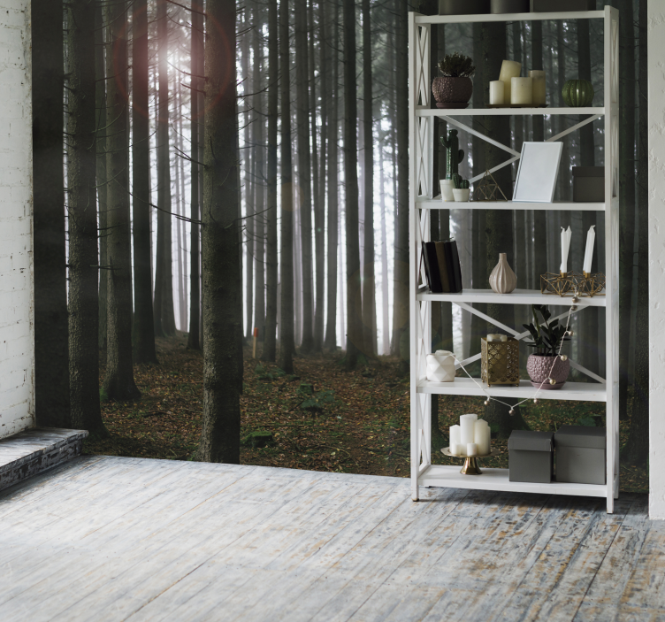 Skoglandskap fototapet - Tenstickers