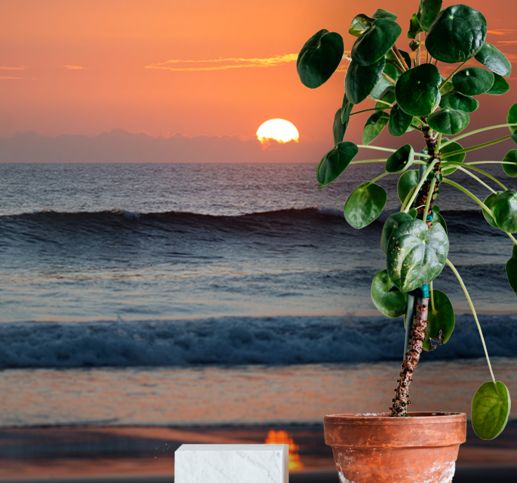 Solnedgang havhorisont fototapet sjø - Tenstickers