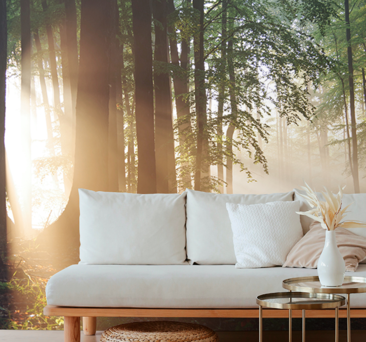 Sti i skogen med solstråle fototapet natur - Tenstickers