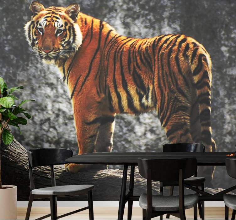 Tiger med foss bak fototapet dyr - Tenstickers