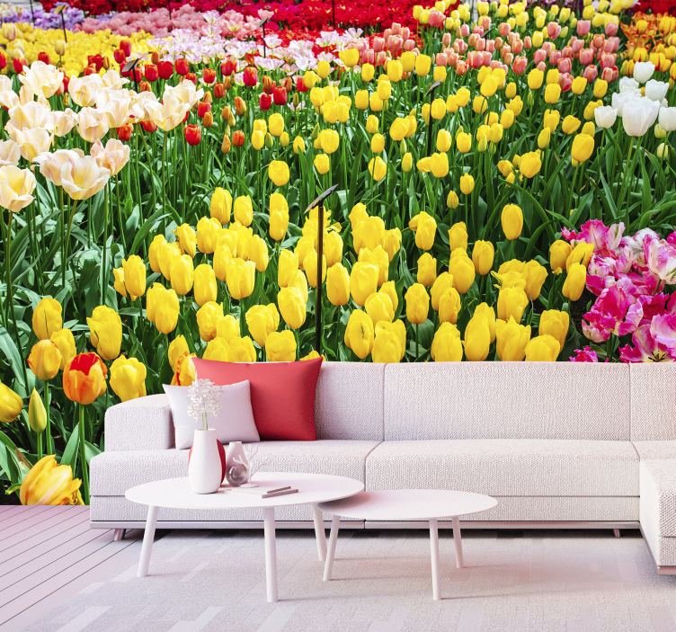 Fargede tulipaner blomsterfototapet - Tenstickers