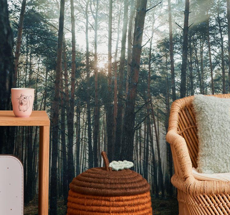 Vakker furuskog fototapet skog - Tenstickers