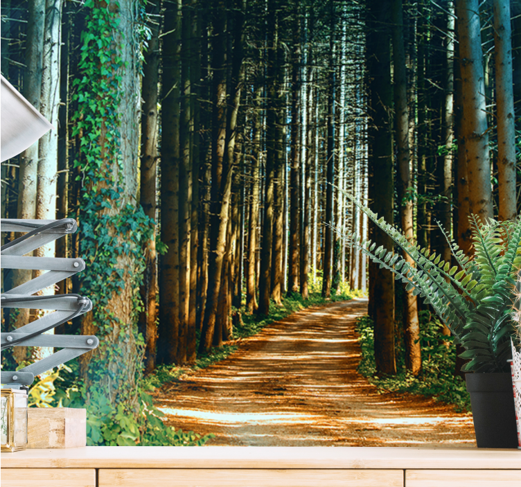 Vakker natursti fototapet trær - Tenstickers