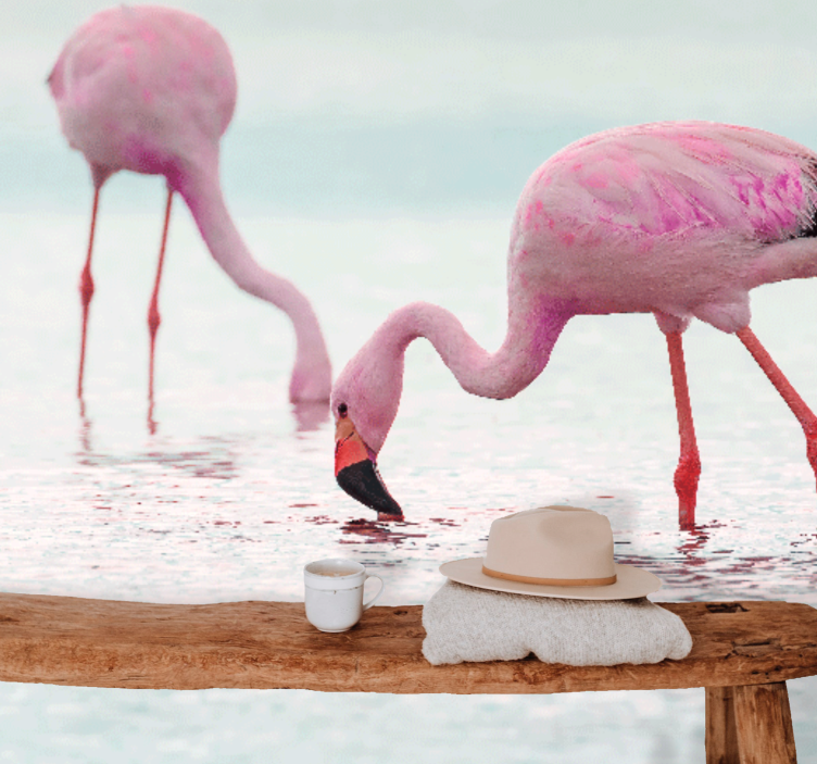 Vakker rosa flamingo i vann fototapet midtgang - Tenstickers