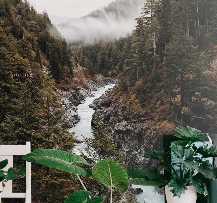 Våt tåke med trær fototapet skog - Tenstickers