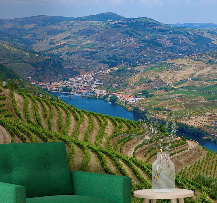 Vingård dalen elv fototapet landskap - Tenstickers