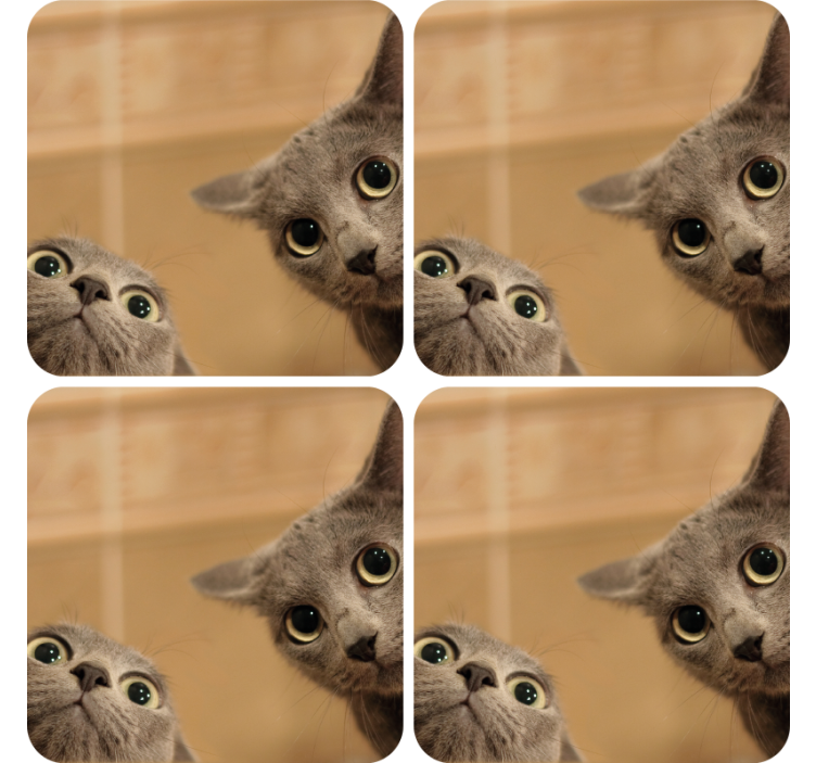 Søte katter moderne coaster sett - Tenstickers