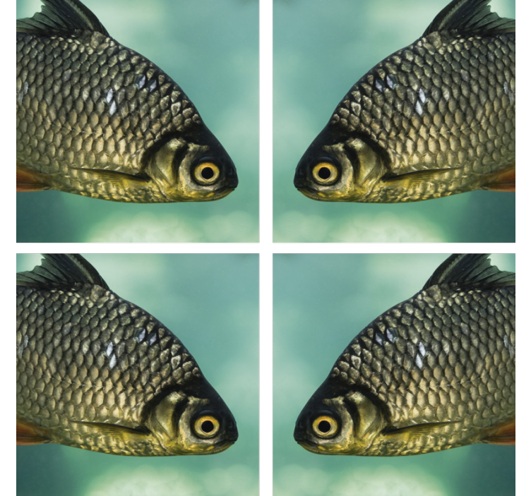 Realistiske fiskemotiver underlag nerdete - Tenstickers