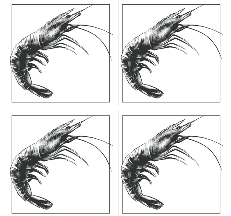 Vakker håndtegnet rekefisk-dalbane - Tenstickers