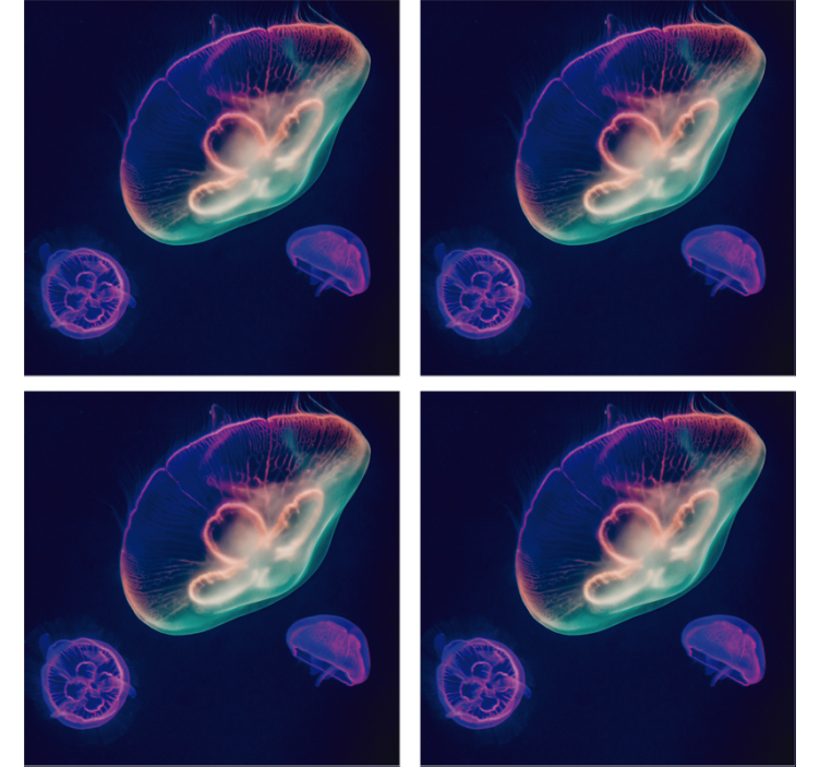 Fargerike maneter underlag nerdete - Tenstickers