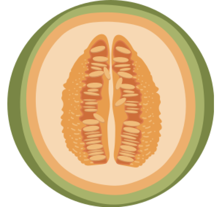 Fruit slice motiver underlag nerdete - Tenstickers