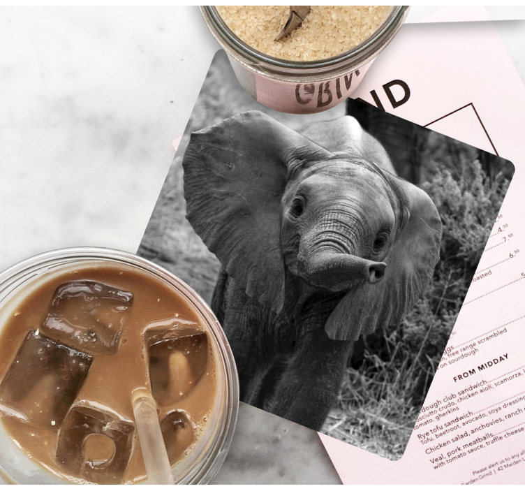 Baby elefant moderne coasters - Tenstickers