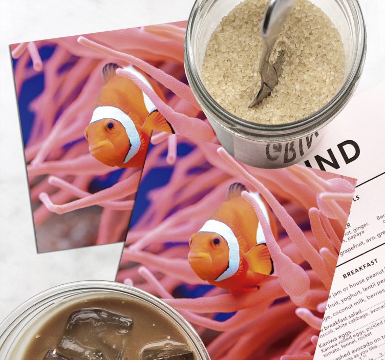 Vakker klovnefisk i sjøfisk-dalbanen - Tenstickers