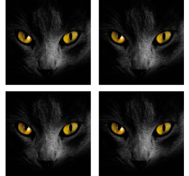 Svart katt halloween-dalbane - Tenstickers