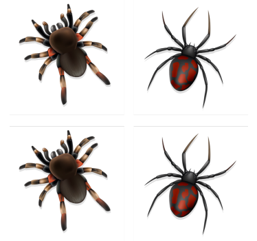 Realistisk edderkopp halloween-dalbane - Tenstickers