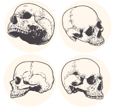 Hodeskalle, tegning, halloween, coasters - Tenstickers