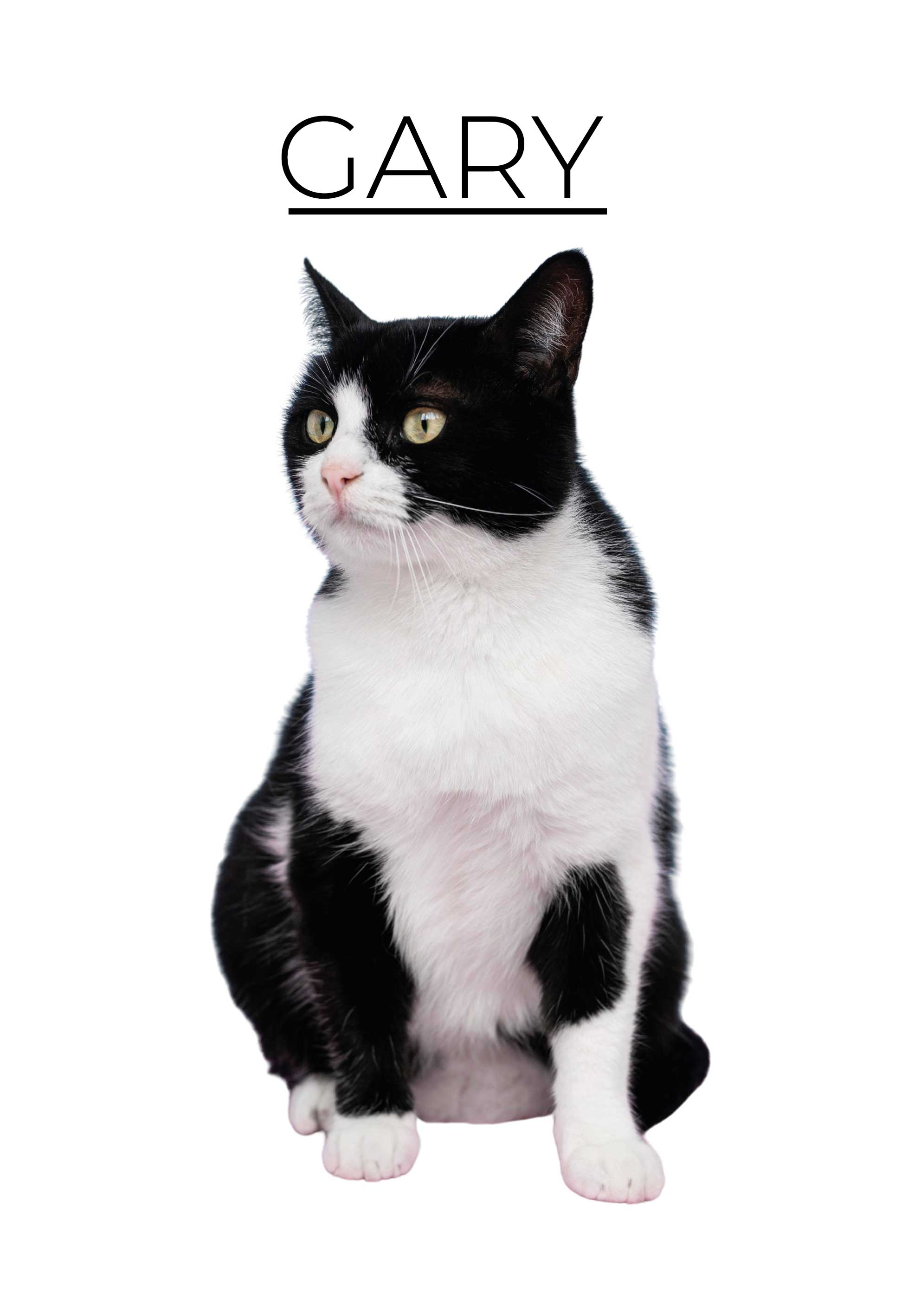 Personlig minimalistisk dyreplakate - Tenstickers