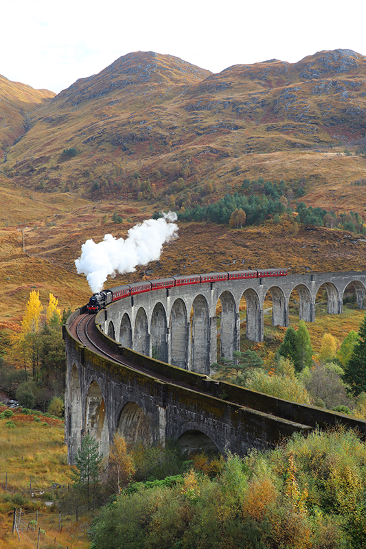 Tog i bevegelse realistisk fotoplakat - Tenstickers