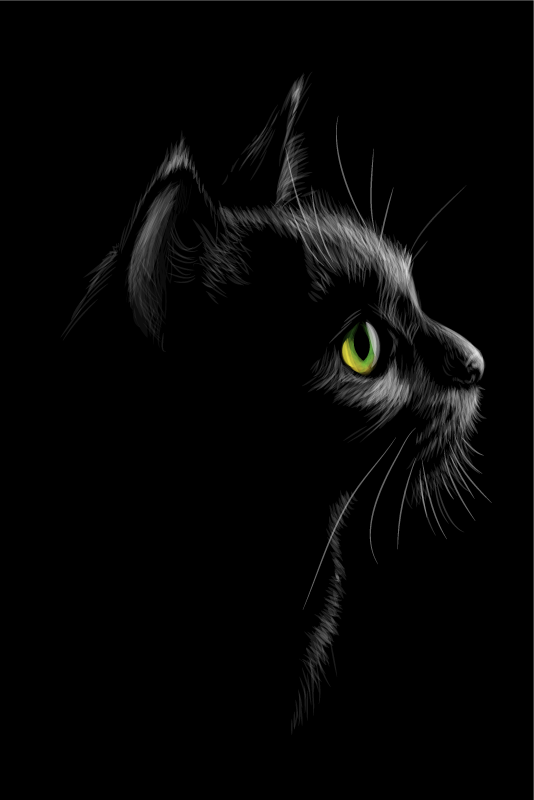 Gatos øyne grønne plakate stue - Tenstickers