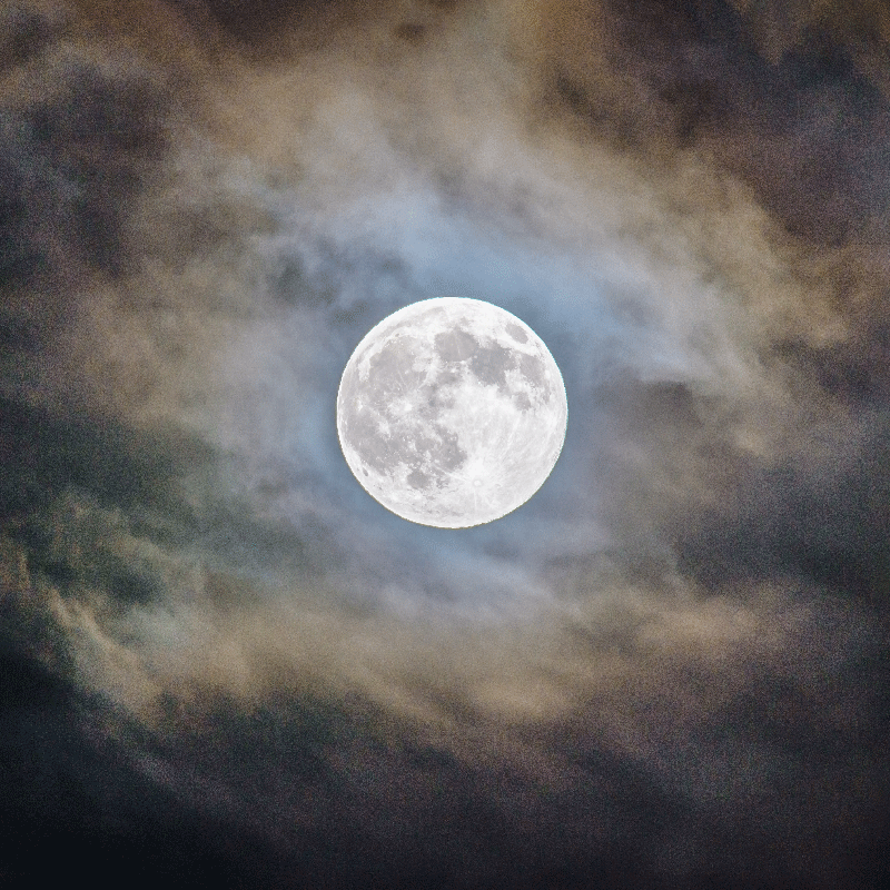 Plakate stue fullmånenatt - Tenstickers