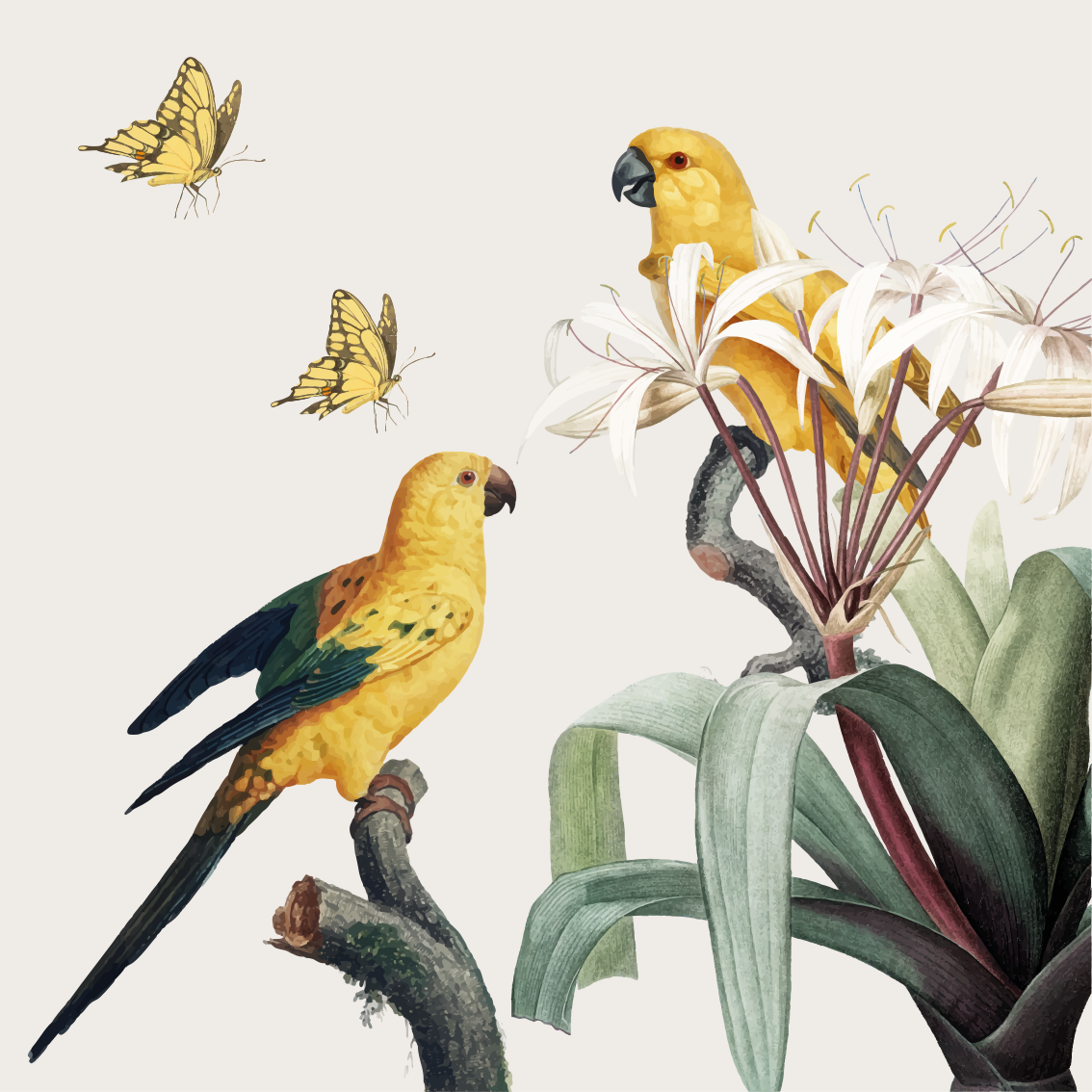 Plakate stue papegøyer med gule blomster og sommerfugler - Tenstickers