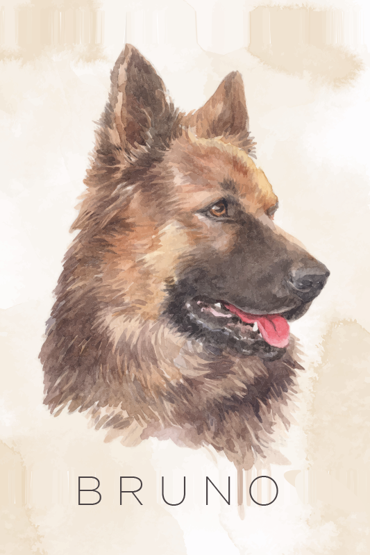 Personlig plakat tysk schæferhund portrett - Tenstickers
