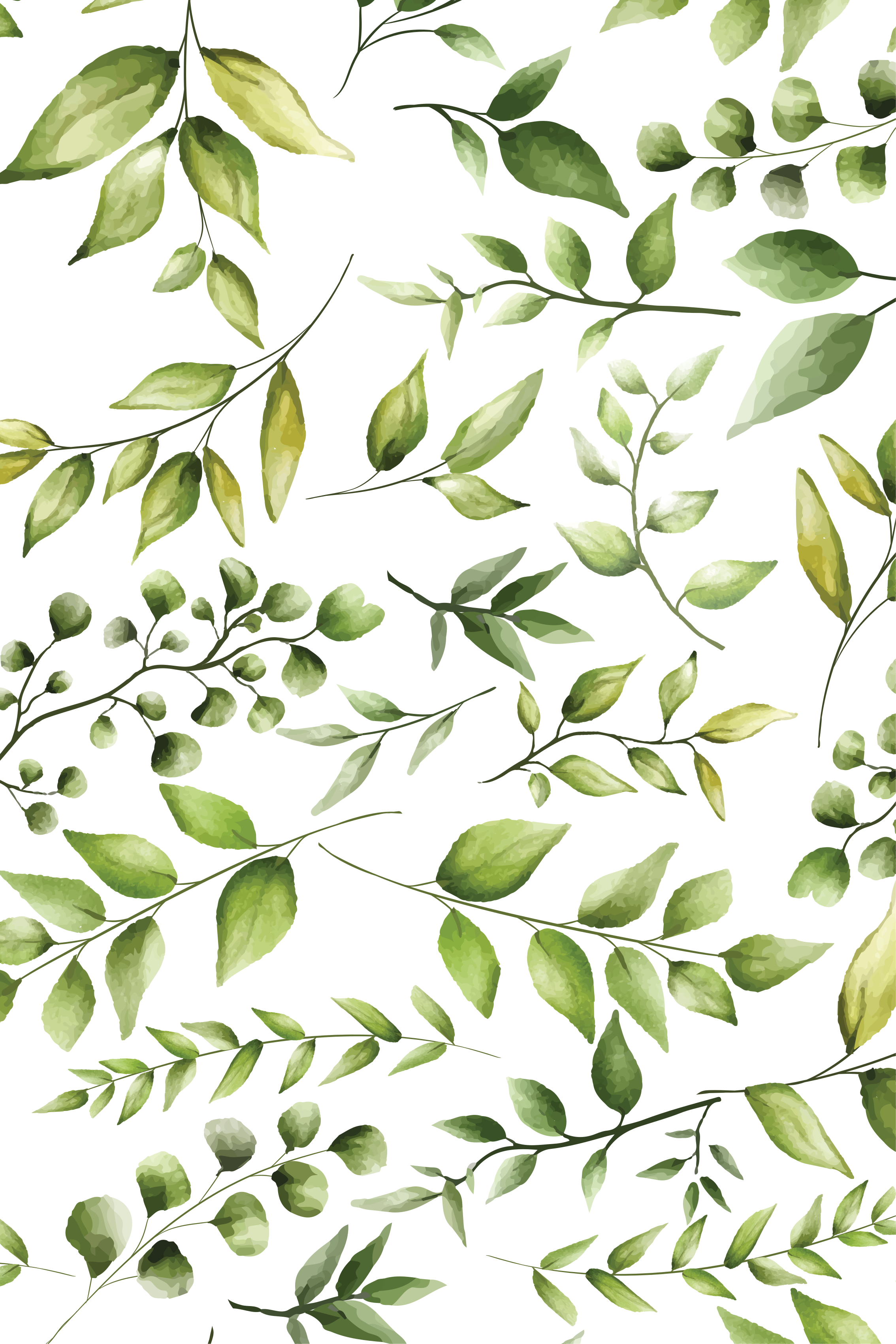 Naturplakate med akvarell eukalyptusblader - Tenstickers
