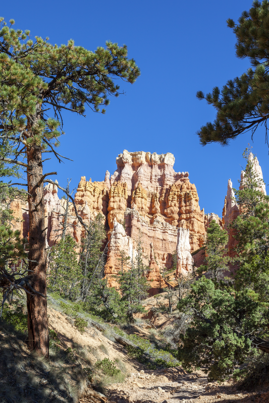 Landskapsplakat bryce canyon - Tenstickers