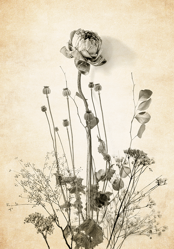 Bukett blomster på beige bakgrunn blomsterplakat - Tenstickers