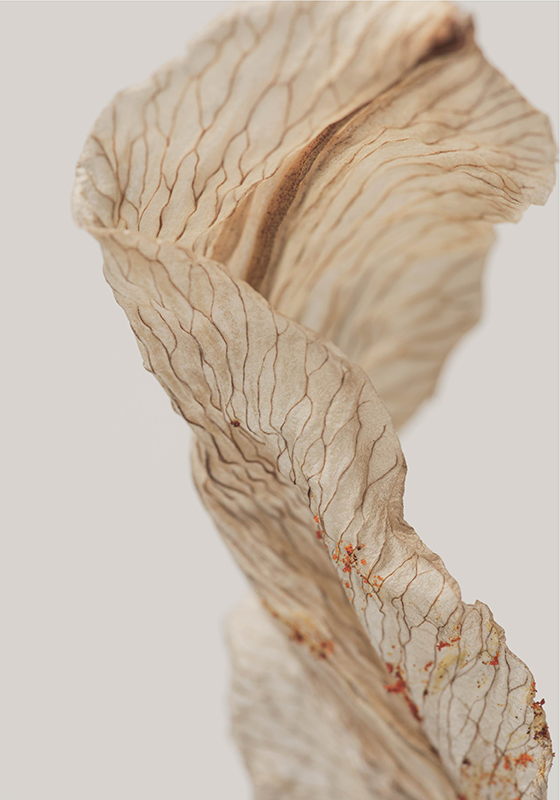 Makrobilde av et blad minimalistisk plakat - Tenstickers