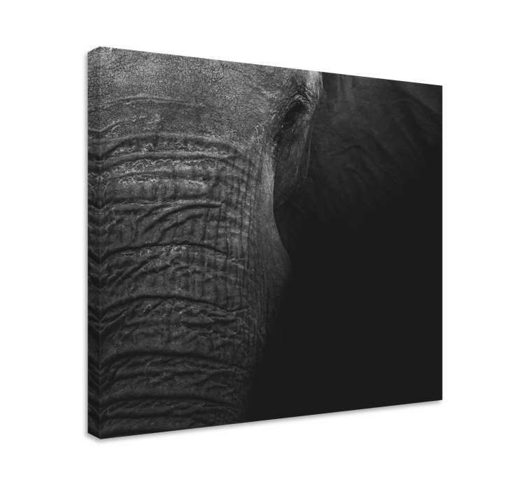 Elegant mørk olifant elefant lerret - Tenstickers