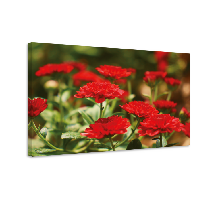 Røde blomster i blomst lerretsbilde - Tenstickers
