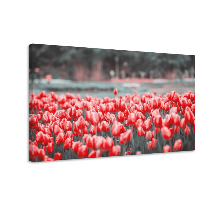 Vibrant tulipanfelt blomst lerretsbilde - Tenstickers