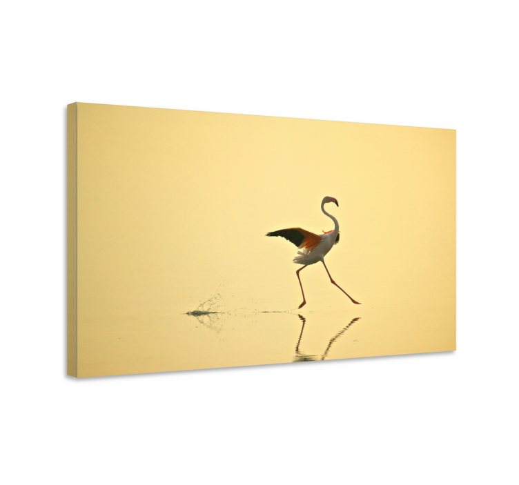Elegant flamingodans fugle lerretsbilde - Tenstickers