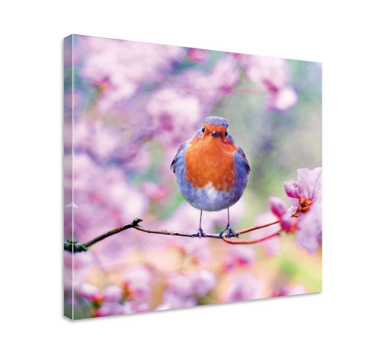 Charming robin perched fugle lerretsbilde - Tenstickers