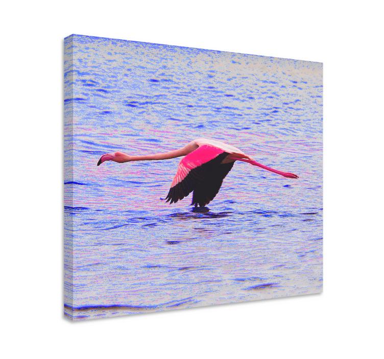 Fisk lerretsbilde flamingo i flukt - Tenstickers