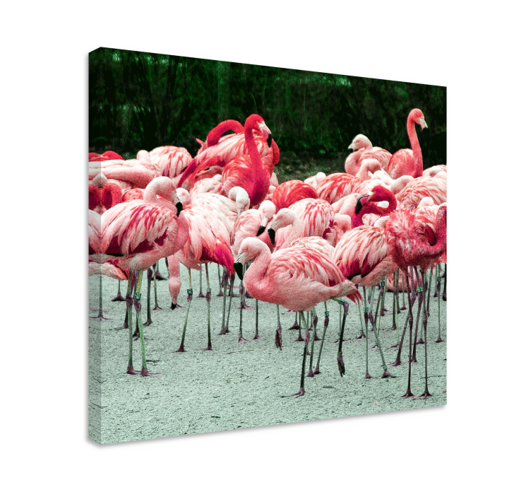 Flamingo flokkhunde lerretsbilde - Tenstickers