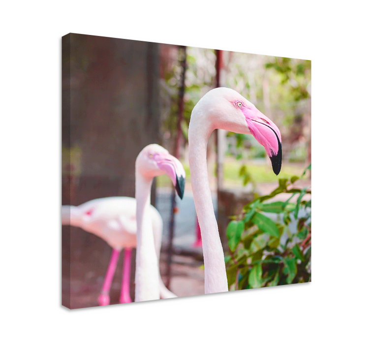 Elegant flamingoer sammen fugle lerretsbilde - Tenstickers