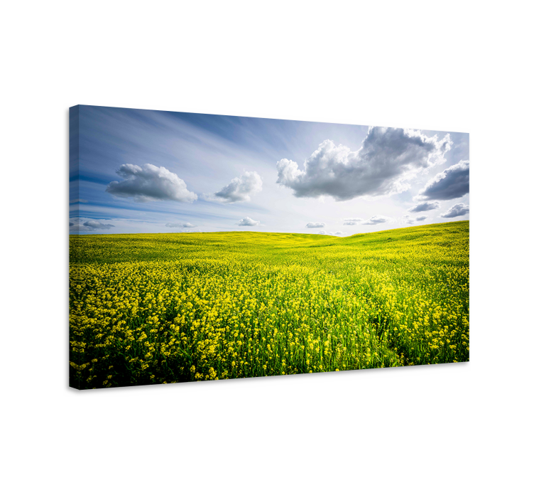 Vibrant yellow field landskaps lerretsbilde - Tenstickers
