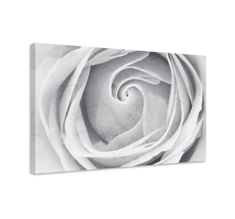 Elegant rose spiral blomst lerretsbilde - Tenstickers