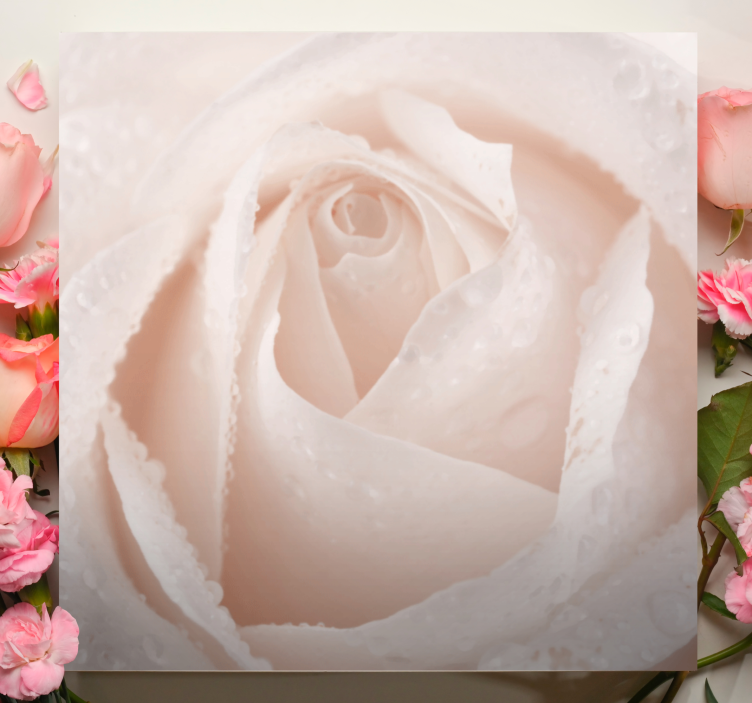 Blomst lerretsbilde elegant roseblomst - Tenstickers