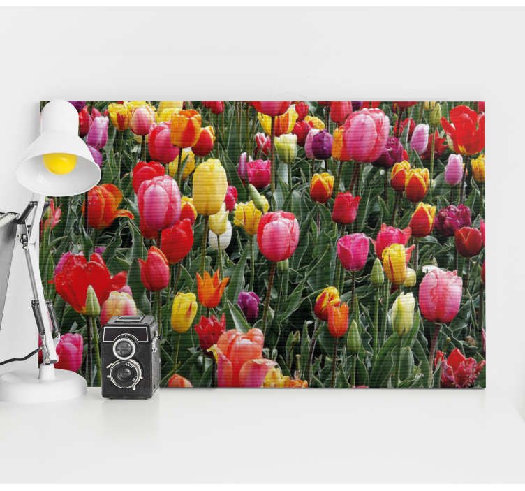 Blomst lerretsbilde fargerike tulipanblomster - Tenstickers
