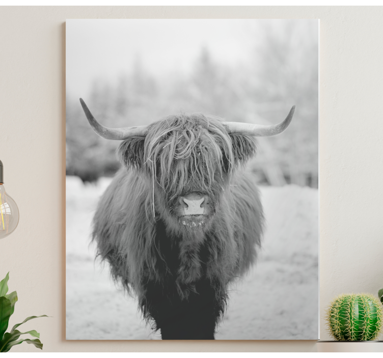 Highland cow animal canvas print - Tenstickers