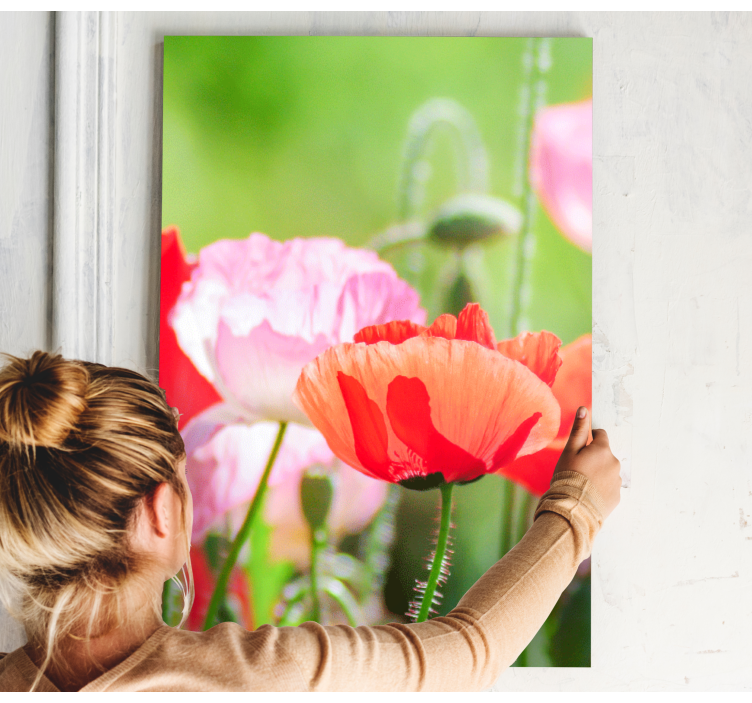 Rosa og rødt hav av valmuer lerretsbilde blomster - Tenstickers