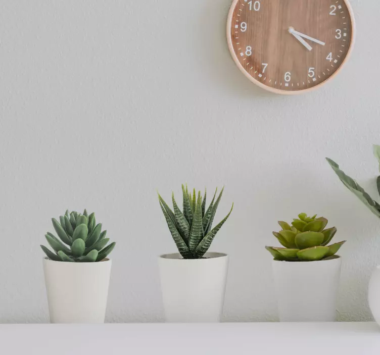 3d kaktus potter veggmalerier - Tenstickers