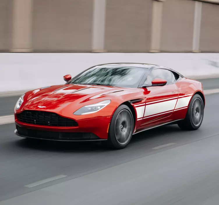 Tilpasset vinyl-klistremerke for rallybil - Tenstickers