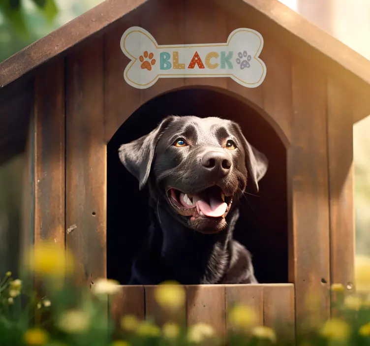 Klistremerke for kattedrikker med navn - Tenstickers