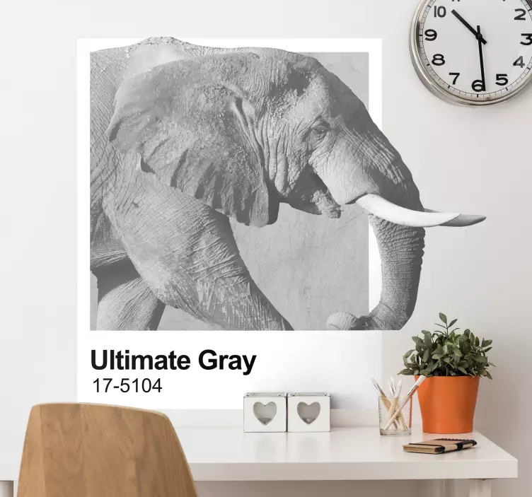 Villdyr klistremerke elefant grå design - Tenstickers